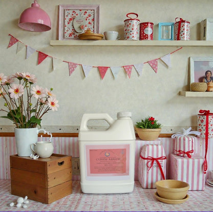 Cupids Arrow Non-Toxic Mop Soap 💘